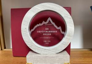 全國仿石PC磚企業高端論壇
