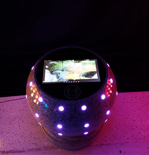 智能幻彩发光防撞球